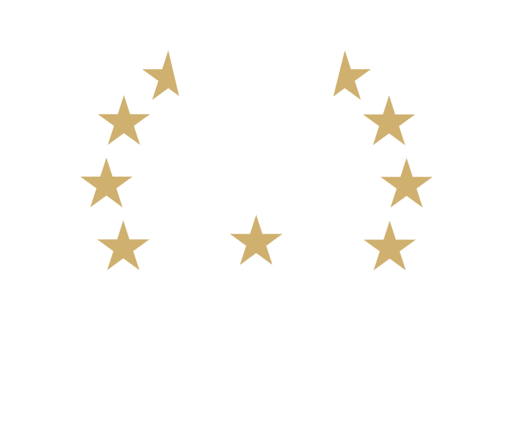 Team Europe Logo